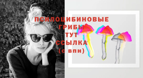 spice Бронницы