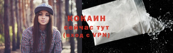 гидра Бородино