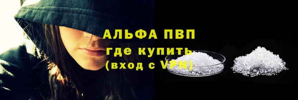 PSILOCYBIN Новый Уренгой