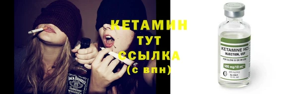 гидра Бородино