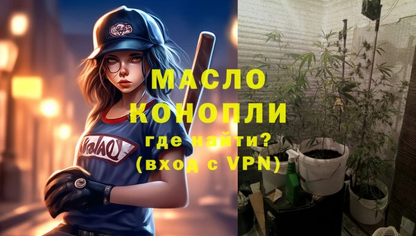 гидра Бородино