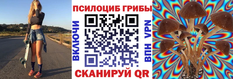 KRAKEN вход  Гулькевичи  Псилоцибиновые грибы MAGIC MUSHROOMS  купить наркоту 