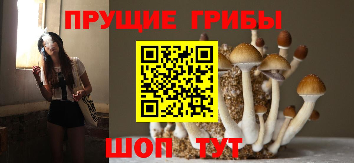 Гулькевичи  Псилоцибиновые грибы мицелий  Галлюциногенные грибы GOLDEN TEACHER  Вход с VPN 